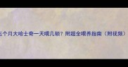 五个月大哈士奇一天喂几顿附超全喂养指南附视频
