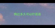狗过多久可以打疫苗