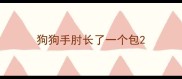 狗狗手肘长了一个包