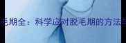 金毛幼犬换毛期全科学应对脱毛期的方法与注意事项
