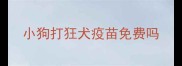 小狗打狂犬疫苗免费吗