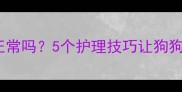 狗狗疫苗后哆嗦正常吗5个护理技巧让狗狗秒变活力小太阳