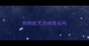 狗狗能天天啃骨头吗