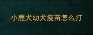 小鹿犬幼犬疫苗怎么打