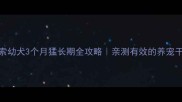 高加索幼犬3个月猛长期全攻略亲测有效的养宠干货