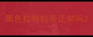 黑色拉布拉多正常吗