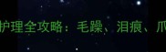 雨天拉布拉多护理全攻略毛躁泪痕爪垫问题一篇搞定