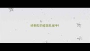 给狗打的疫苗扎破手