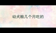 幼犬粮几个月吃的
