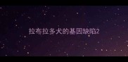 拉布拉多犬的基因缺陷