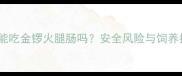 泰迪犬能吃金锣火腿肠吗安全风险与饲养指南全