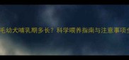 金毛幼犬哺乳期多长科学喂养指南与注意事项全