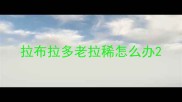 拉布拉多老拉稀怎么办