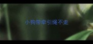 小狗带牵引绳不走