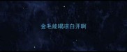 金毛能喝凉白开啊