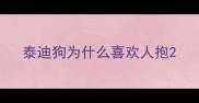 泰迪狗为什么喜欢人抱