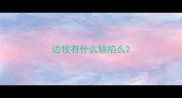 边牧有什么缺陷么