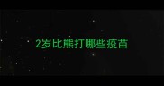 2岁比熊打哪些疫苗