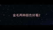 金毛两种颜色好看
