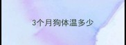 3个月狗体温多少