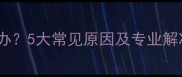 小狗身上长红疙瘩怎么办5大常见原因及专业解决方法附护理指南