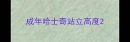 成年哈士奇站立高度