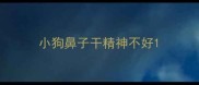 小狗鼻子干精神不好