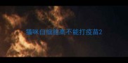 猫咪白细胞高不能打疫苗