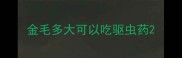 金毛多大可以吃驱虫药