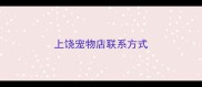上饶宠物店联系方式