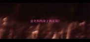 金毛狗狗身上有皮屑