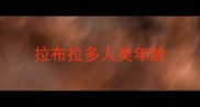 拉布拉多人类年龄