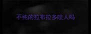 不纯的拉布拉多咬人吗