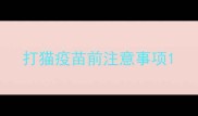 打猫疫苗前注意事项