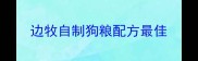 边牧自制狗粮配方最佳