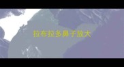 拉布拉多鼻子放大