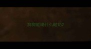 狗狗能喝什么酸奶