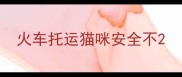 火车托运猫咪安全不