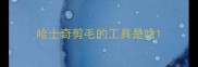 哈士奇剪毛的工具是啥