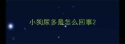 小狗尿多是怎么回事