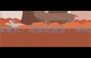 拉布拉多公狗没睾丸隐睾隐患全养狗必看健康指南