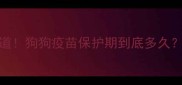 90铲屎官不知道狗狗疫苗保护期到底多久附补种全攻略