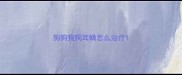 狗狗狗狗耳螨怎么治疗