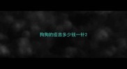狗狗的疫苗多少钱一针