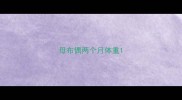 母布偶两个月体重