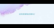 边牧前腿短后腿长