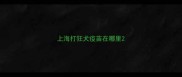 上海打狂犬疫苗在哪里