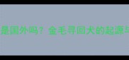 拉布拉多原产国是国外吗金毛寻回犬的起源与全球风靡真相