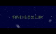 狗狗打疫苗处红肿