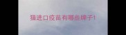 猫进口疫苗有哪些牌子